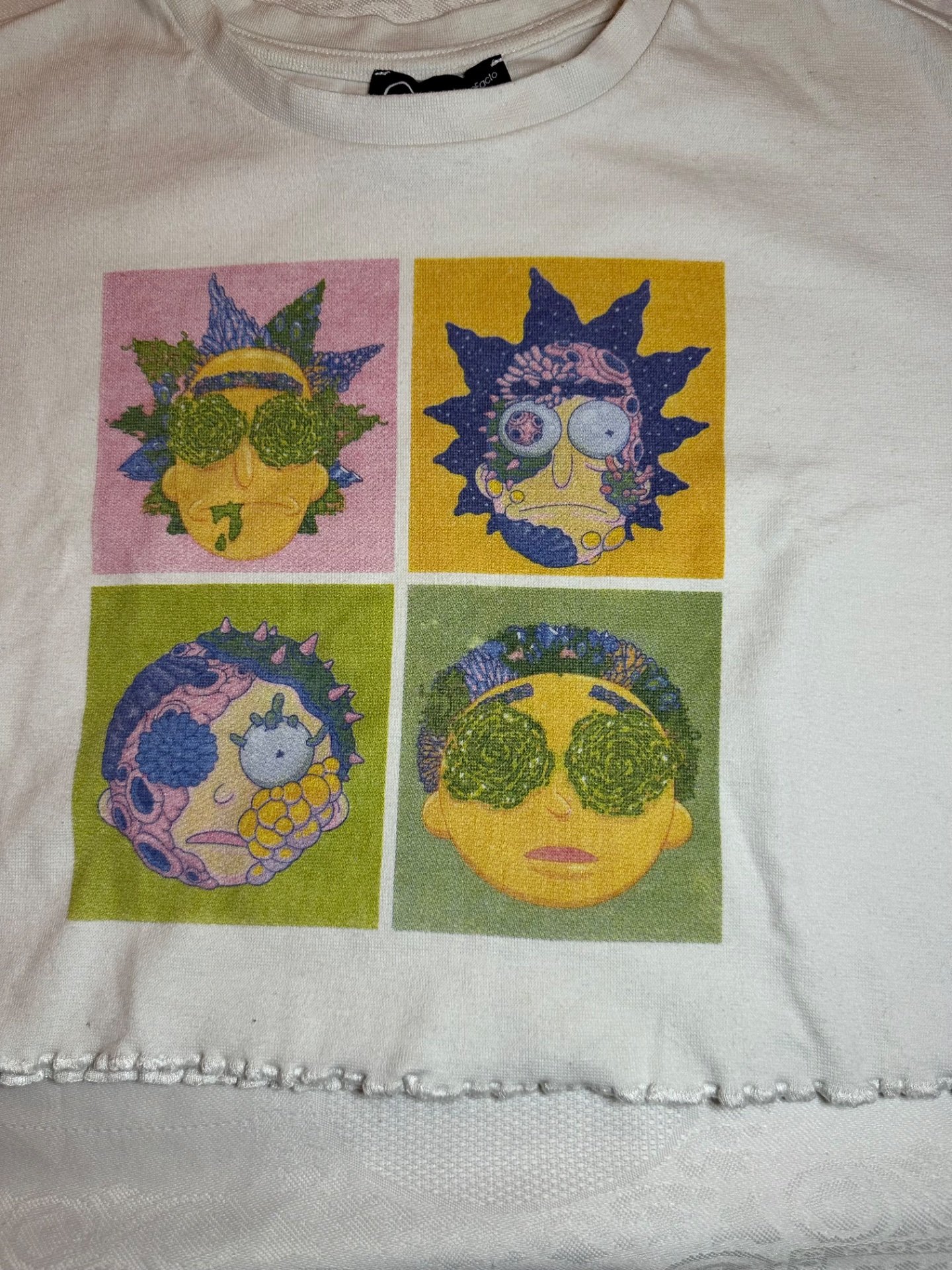 Rick and Morty croptop - 2