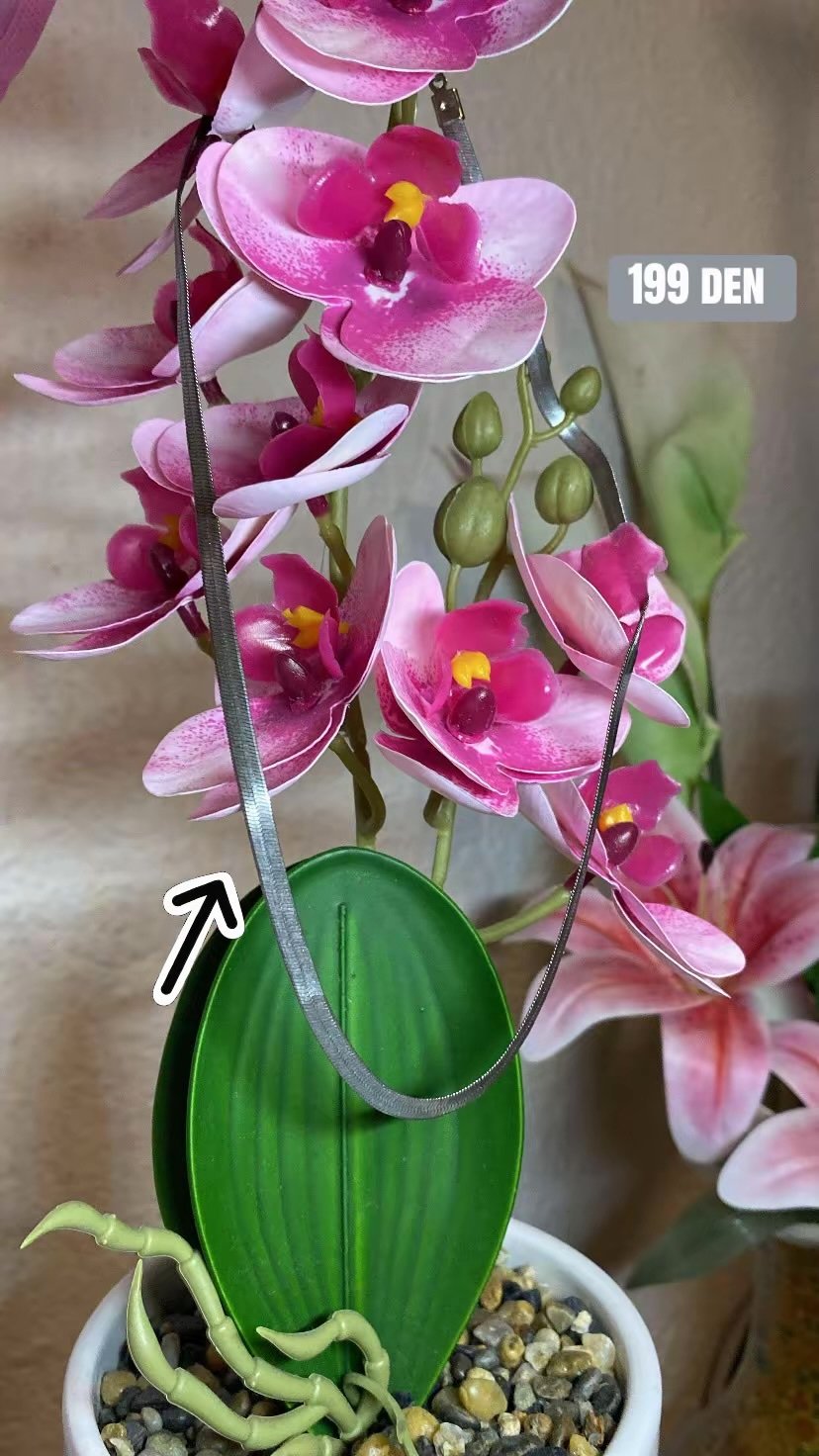Ланче