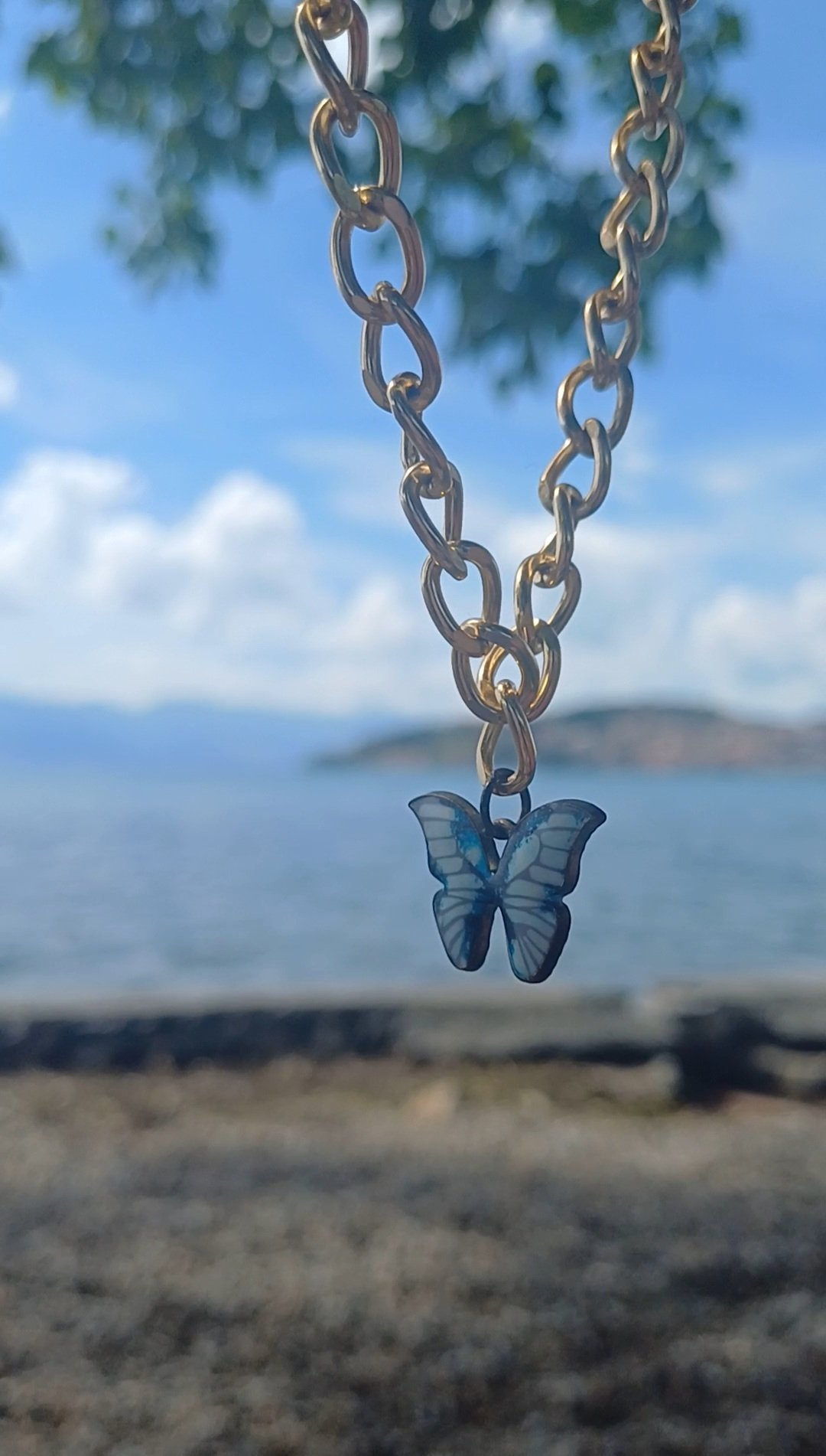 🦋 Blue Butterfly