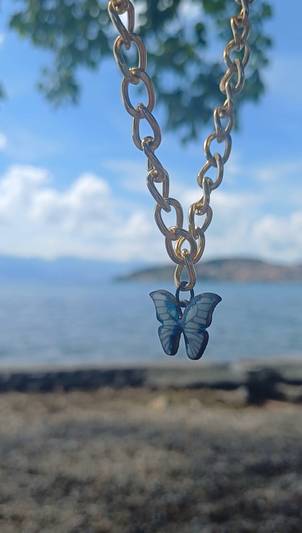 🦋 Blue Butterfly