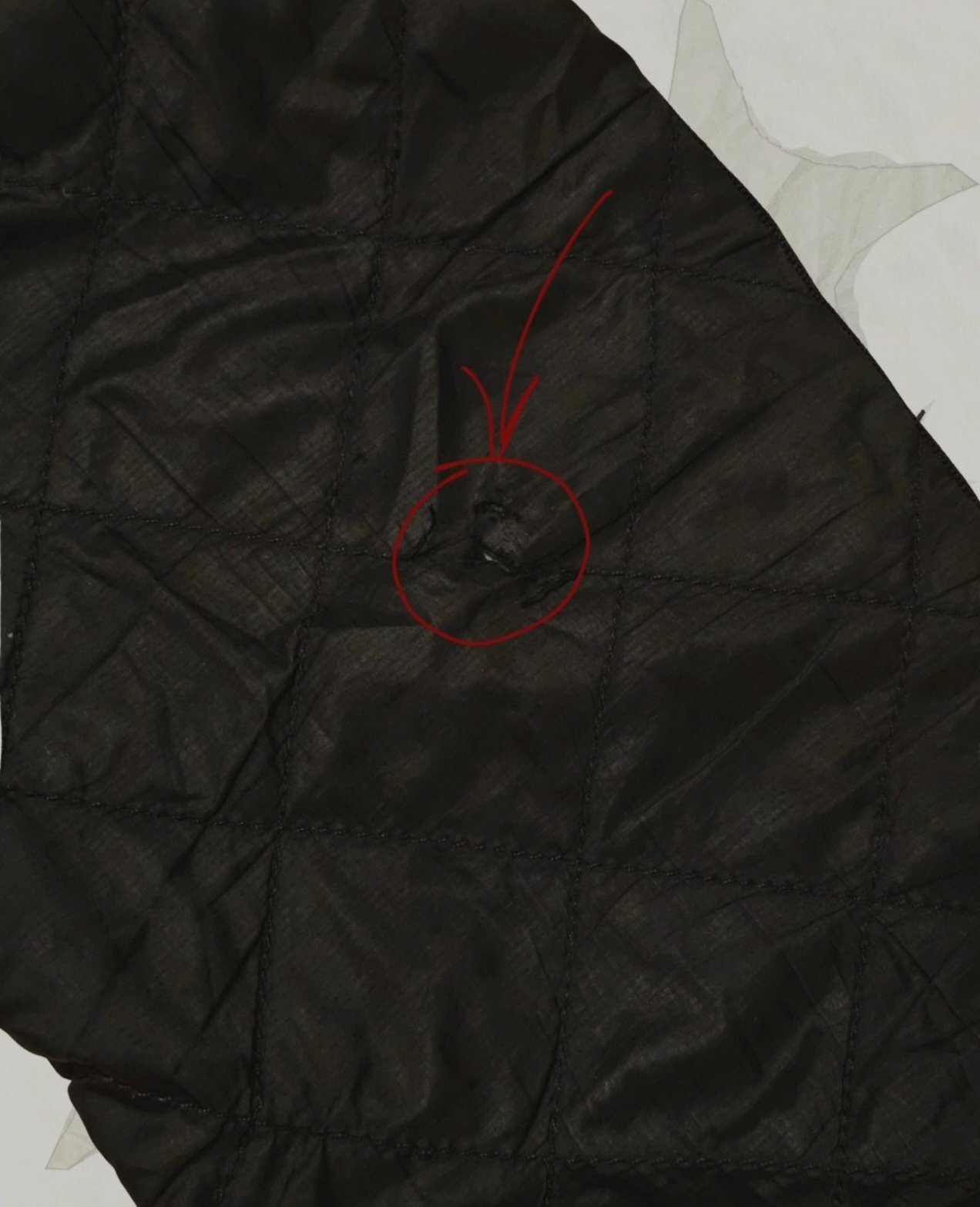 Adidas Originals Women's Bomber - 4
