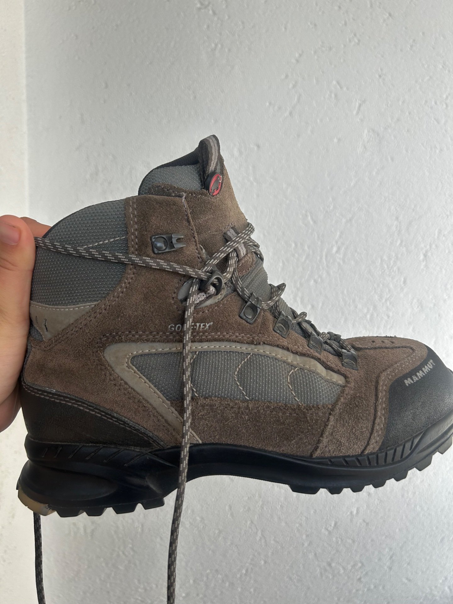 Planinarski Mammut
